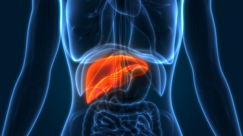 Beyond heart health: Could your statin help prevent liver cancer?