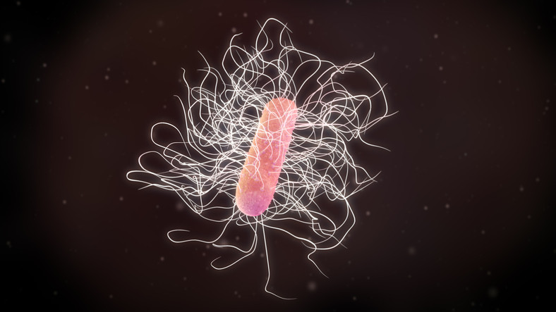 C. difficile (C. diff): An urgent threat