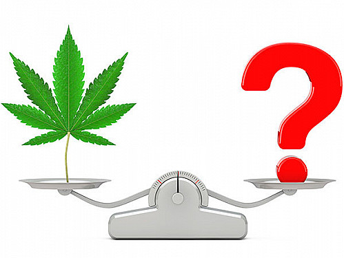 Common questions about medical cannabis featured image