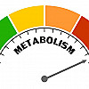 blog image 1