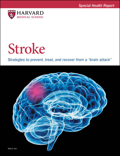 Stroke: Strategies to prevent, treat, and recover from a brain