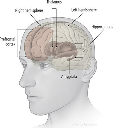 neurotransmitters in depression