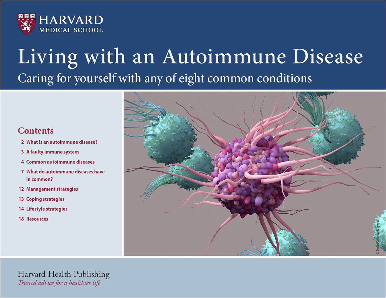 How To Cure Autoimmune Disease Trackreply4