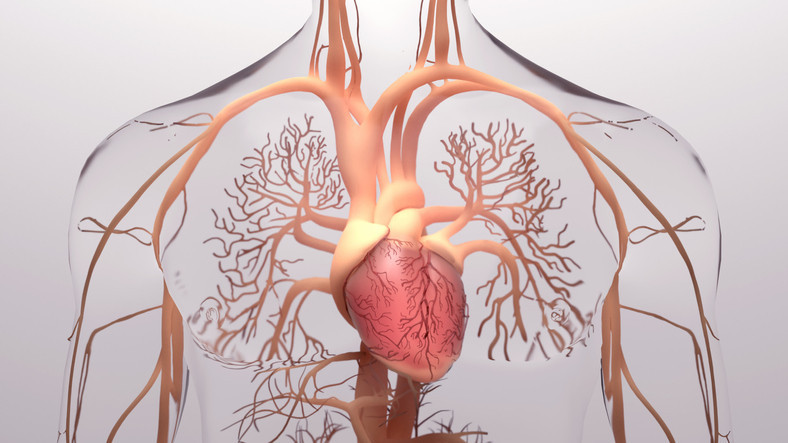 How good is your cardiometabolic health — and what is that, anyway?