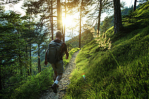 Lyme Disease Quiz featured image