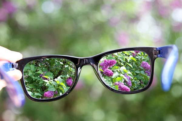 A hand holds black-framed eyeglasses with clear views of purple flowers in the lenses, while behind and around the glasses the view is blurred.
