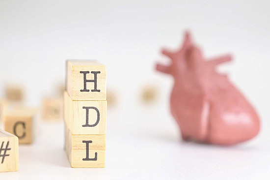The complex story of HDL cholesterol featured image