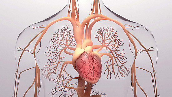 The changing nature of coronary artery disease featured image