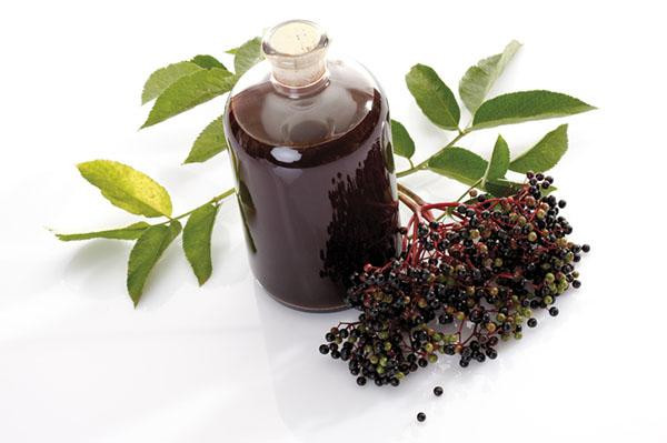 A jug of elderberry extract alongside leafy sprigs and a branch with a large bunch of black elderberries.