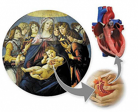 The art of the heart featured image