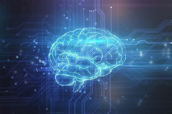 A green-Mediterranean diet may slow brain aging featured image