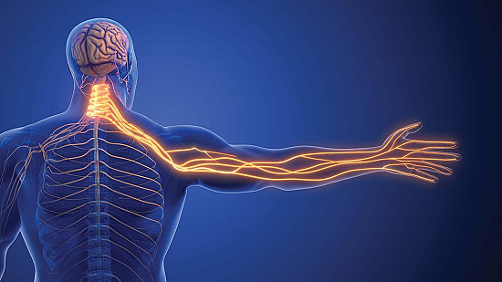 Punch back against pinched nerves featured image