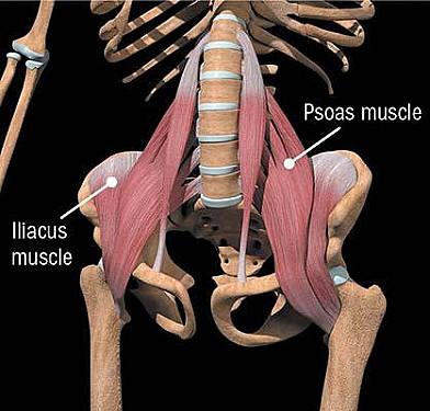 Try these stretches to avoid sore hips featured image