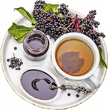 The health benefits of elderberry featured image