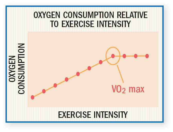 Graph labeled oxygen consumption relative to exercise intentisy, with exercise intentisy on the X axis and  oxygen consumption on the Y axis.