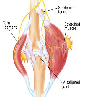 e4c6ecaf-f3b1-40c8-ae90-406c26e460f0