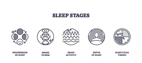Sleep stages visualized with outline icons for progression, REM, brain activity, depth, and cycle timing.