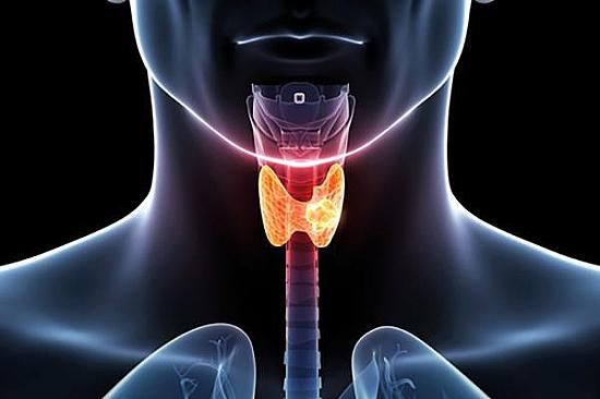 Thyroid hormone: How it affects your heart featured image