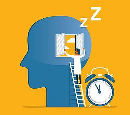 The brain's cleanup crew works while we sleep featured image