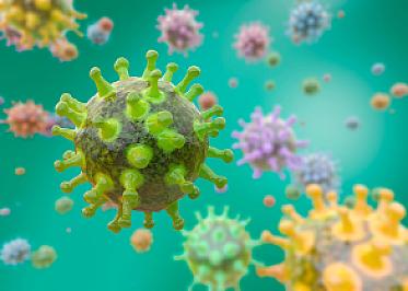 Video: What you should know about germs featured image