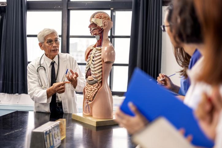 A professor in a white lab coat teaches anatomy to a class using a life-size model of a human body that is open in front to show the skeleton and digestive system.