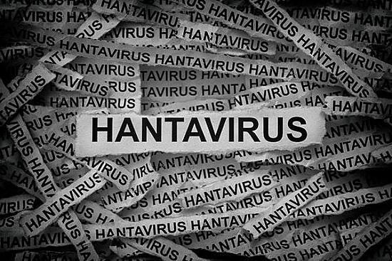 cluster (priority): health.harvard.edu Alerte sanitaire dans le district de Kreis Höxter