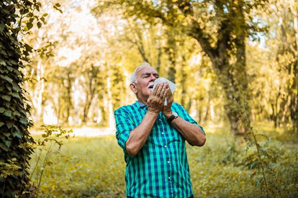 A senior man sneezing in a field surrounded by woods, probably from allergies.