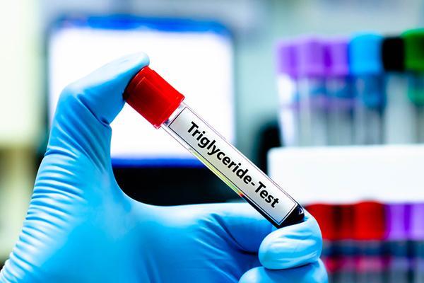 How do carbohydrates influence triglyceride levels?