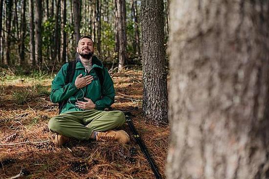 The health benefits of forest bathing featured image