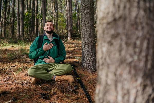The health benefits of forest bathing