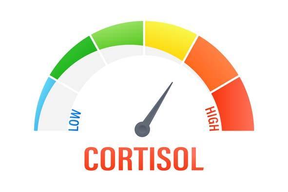 Do you really have high cortisol?