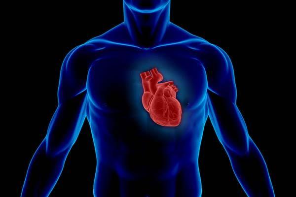 Top questions about heart valve replacement