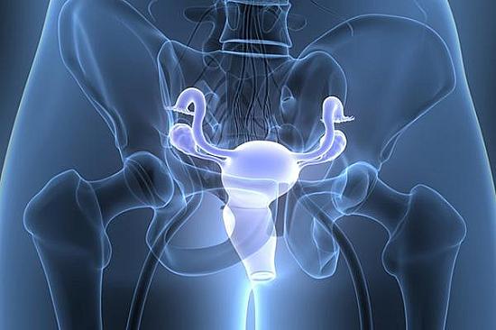 The surprising link between ovarian cancer and the fallopian tubes featured image