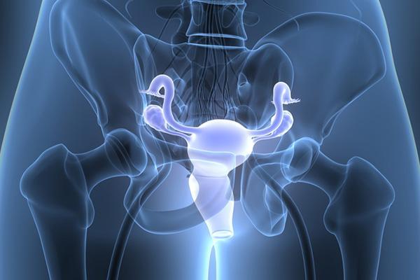 Translucent three-dimensional illustration of female reproductive system anatomy in blue on a black background, with the vagina, uterus, fallopian tubes, and ovaries highlighted in glowing blue.