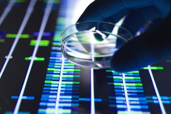 Does having a family history of gynecologic cancer automatically mean you should get genetic testing?