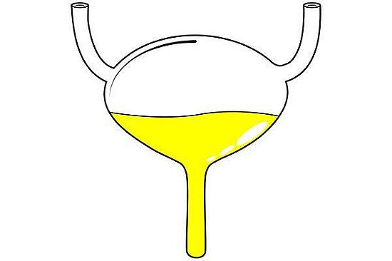 Why is my doctor having me fill out a bladder diary? featured image