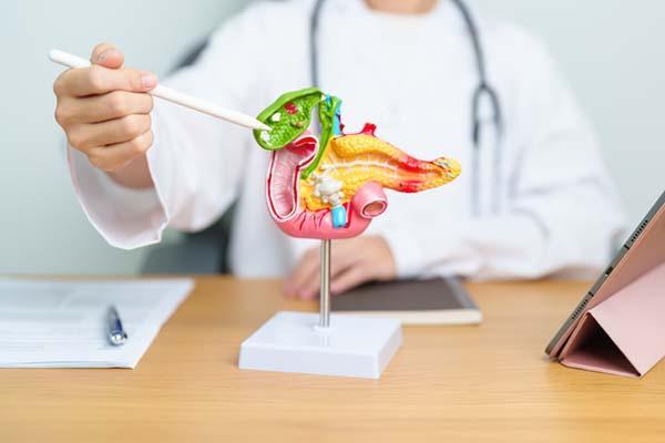 Can insulin-producing cells be replenished?