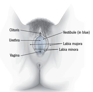 What Does It Mean When Your Clit Hurts