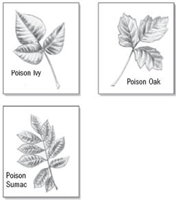 Know your poisons