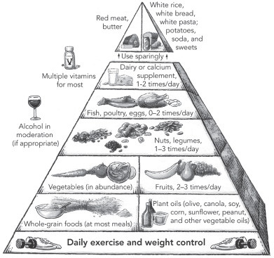 Simple changes in diet can protect you against friendly fire