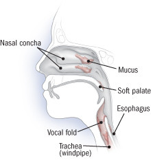 the-trickle-down-effect