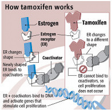 Advances in early-stage breast cancer treatment featured image