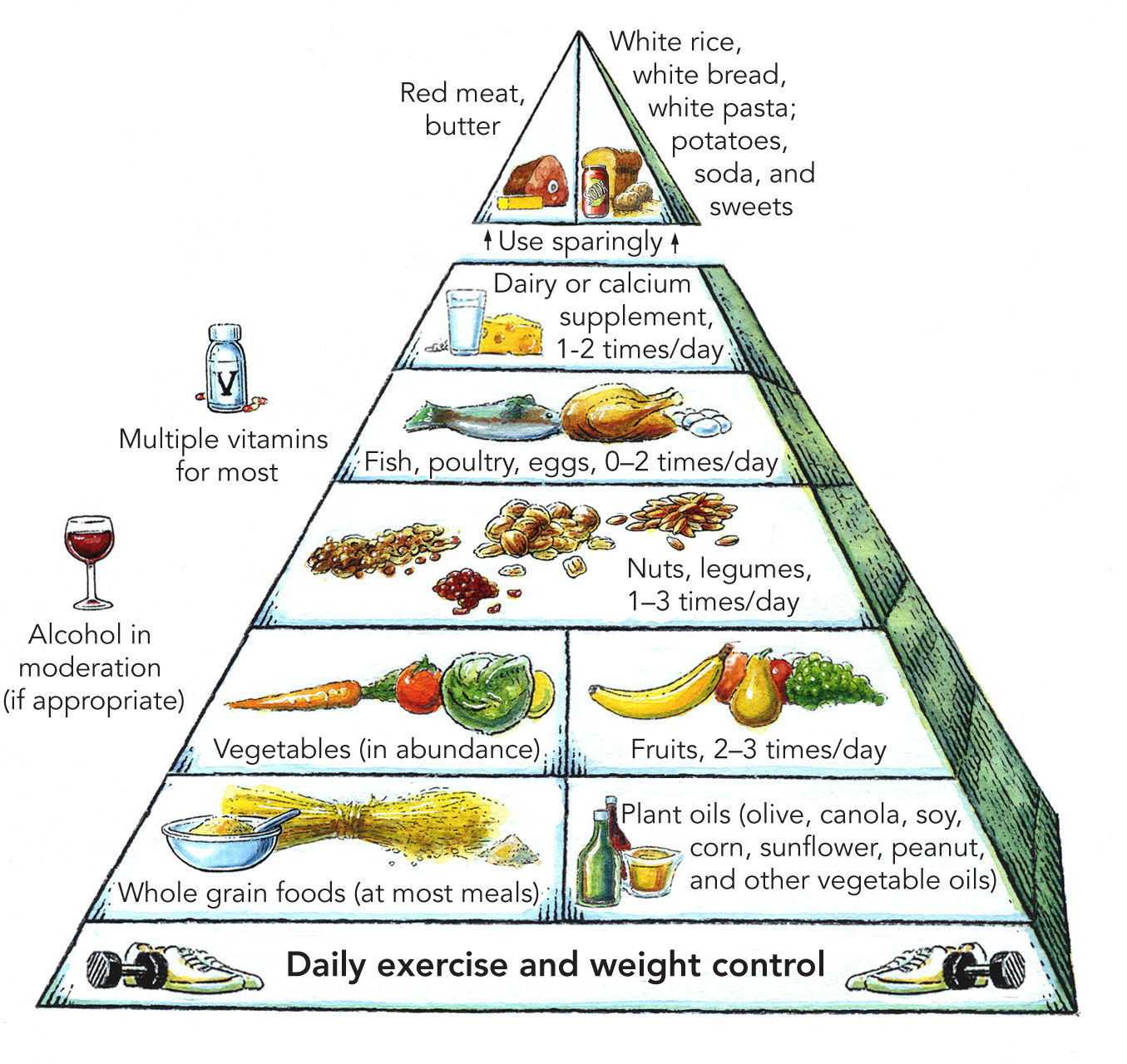 healthy food pyramid essay