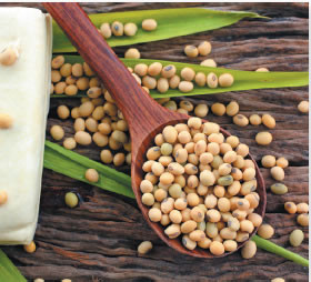 Soy protein helps lower bad cholesterol a small but important amount -  Harvard Health