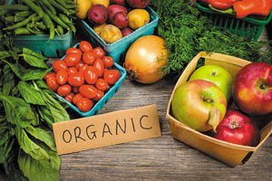 Is Your Food Really Organic? Does It Matter?