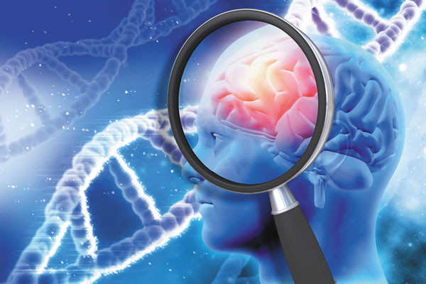 brain genetic link between alzheimer's and heart disease