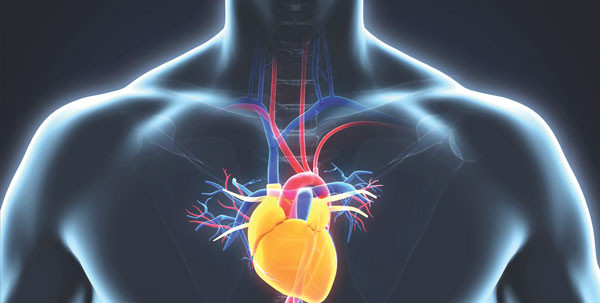 aneurysms chest aorta