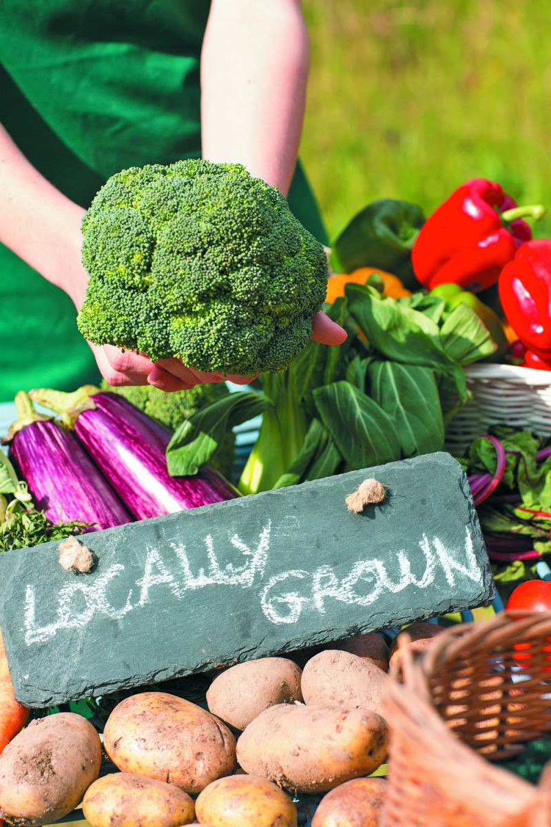 Avoiding health risks at the farmers’ market