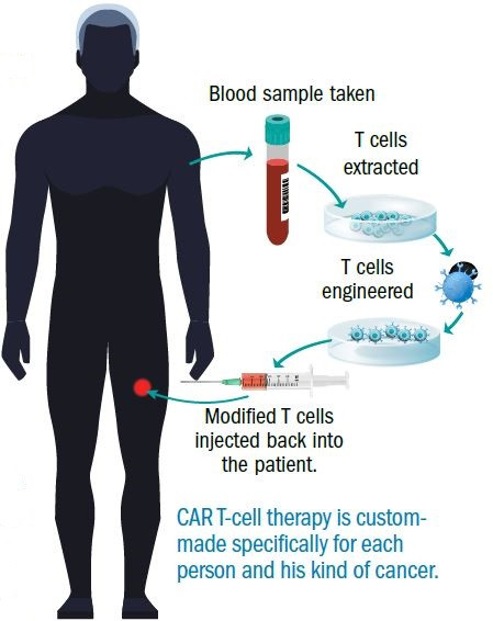 New Method of Killing Cancer Cells Developed