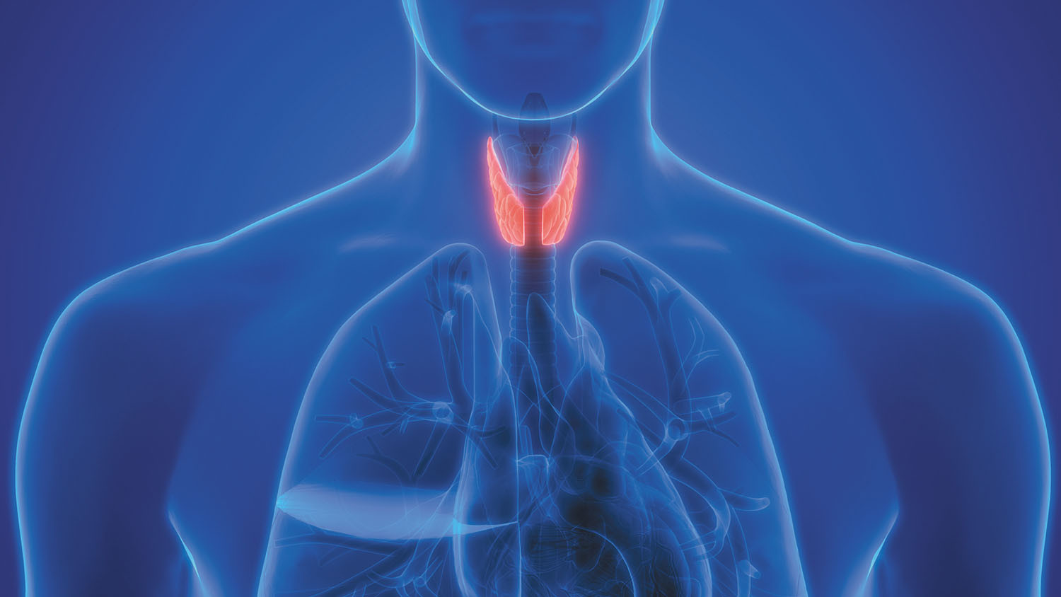 Why do I “almost” have an underactive thyroid?